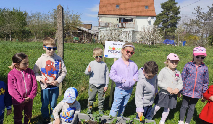 4. fotografia fotogalérie Aktuality / Projekt Školská záhrada 2026 - foto