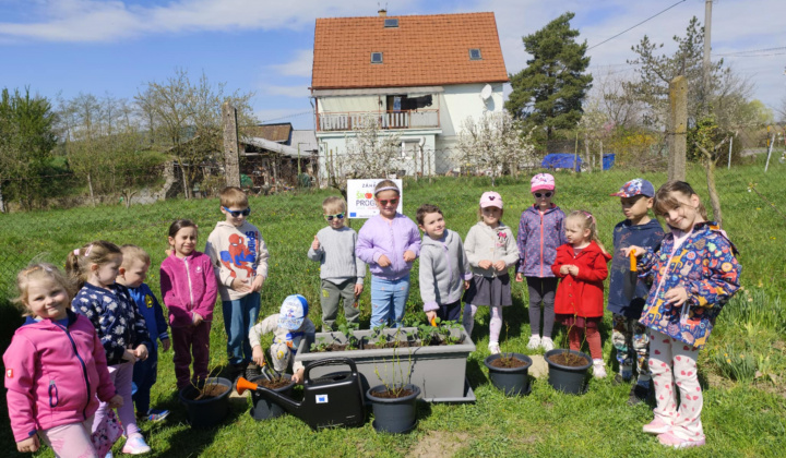 Fotka - Projekt Školská záhrada 2026